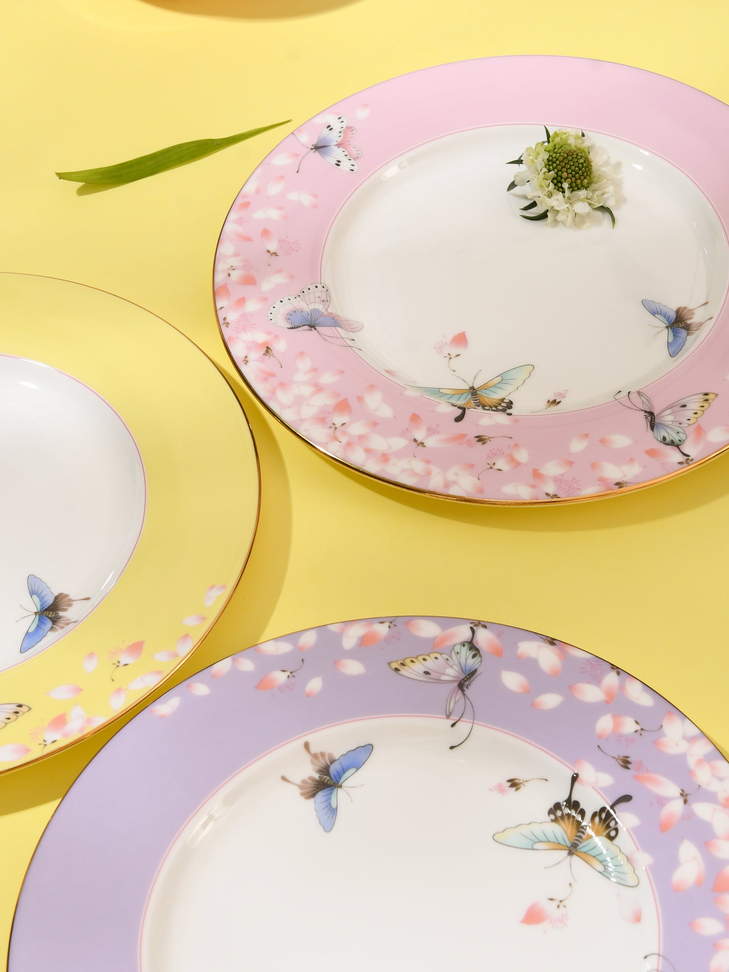 Butterflies Among Flowers 20cm Plate - Pink